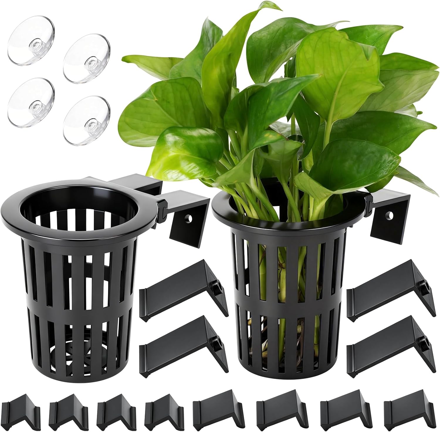 Aquarium Plants - 2025 Upgraded Large Aquarium Plant Holder