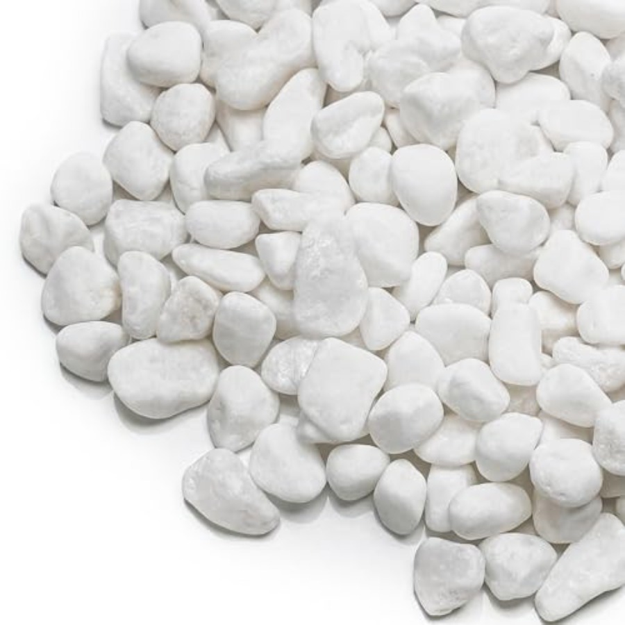 Planted Aquarium With Gravel - 18lb Pebbles1/5
