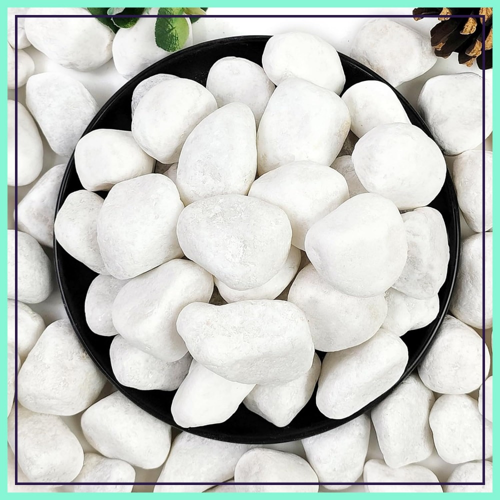 Aquarium Plants - 1-2 Inch White Pebbles for Indoor
