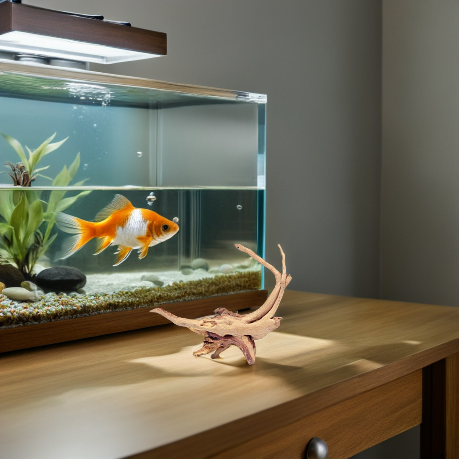 Planted Aquarium Ph - 4Pcs Driftwood Aquarium Decoration Natural Branch