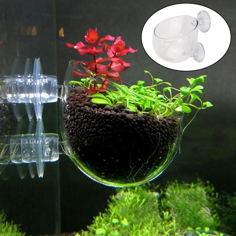 Planted Aquarium Moss - Fish Tank Decoration Accessory Aquarium Plant