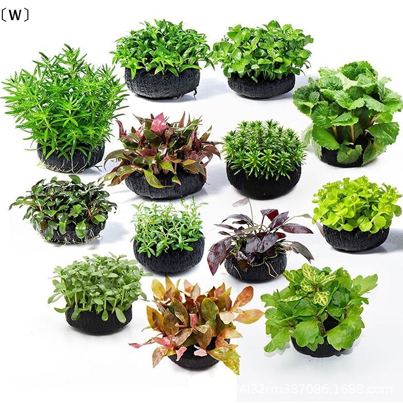 Aquarium Planted Sand - 〔W〕2Pcs Black Aquarium Plant Substrate for