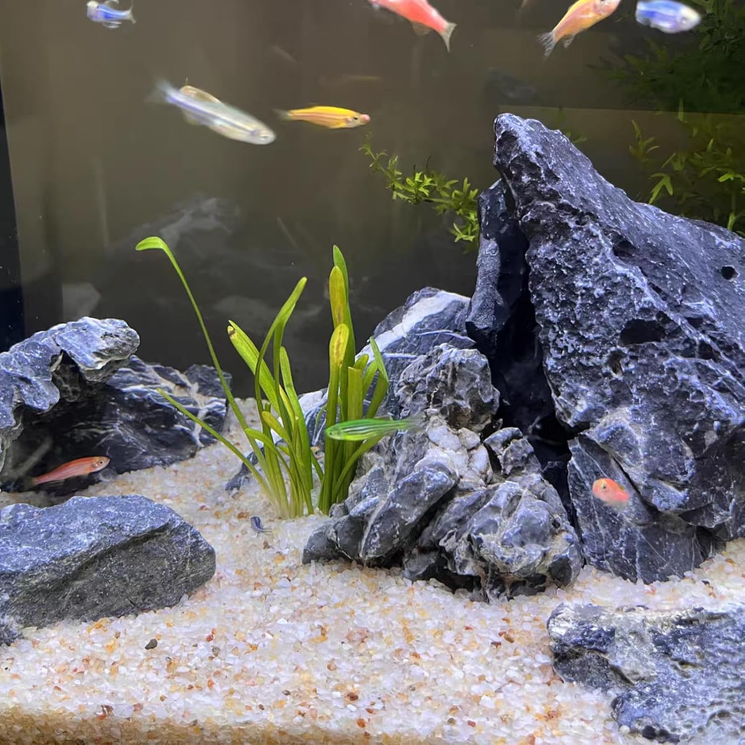5lb Aquarium Silica Sand 0.4-0 - Aquarium Planted Sand avis et prix