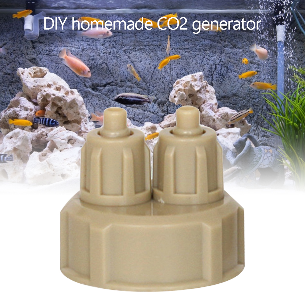 Aquarium CO2 Generator Bottle  - Planted Aquarium Youtube avis et prix