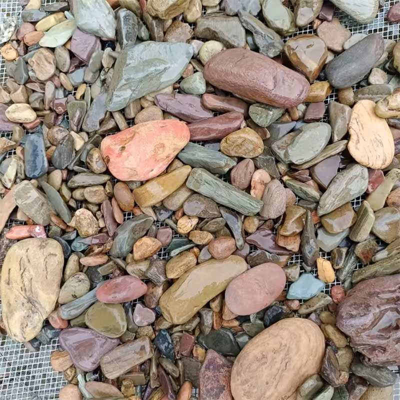 500g Fish Tank Bottom Sand Sto - Aquarium Planted Sand avis et prix