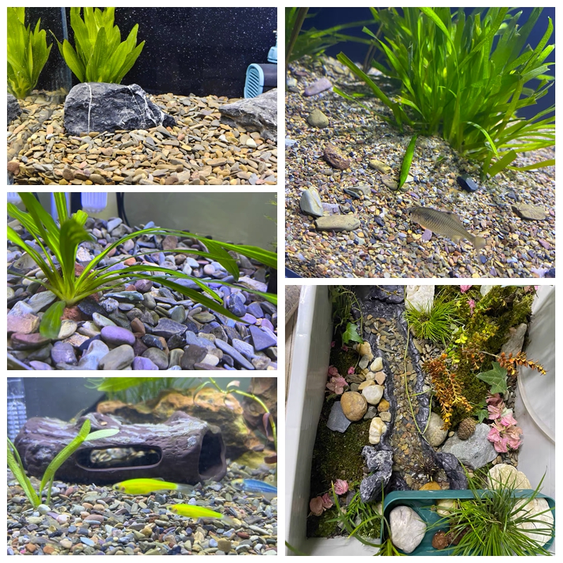 500g Fish Tank Bottom Sand Sto - Aquarium Planted Sand avis et prix