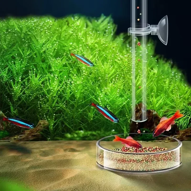 Aquarium Glass Feeding Tube &  - Planted Aquarium Youtube avis et prix
