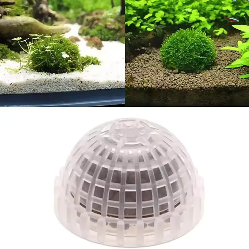 Mini Moss Ball Aquarium Decora - Planted Aquarium Moss avis et prix