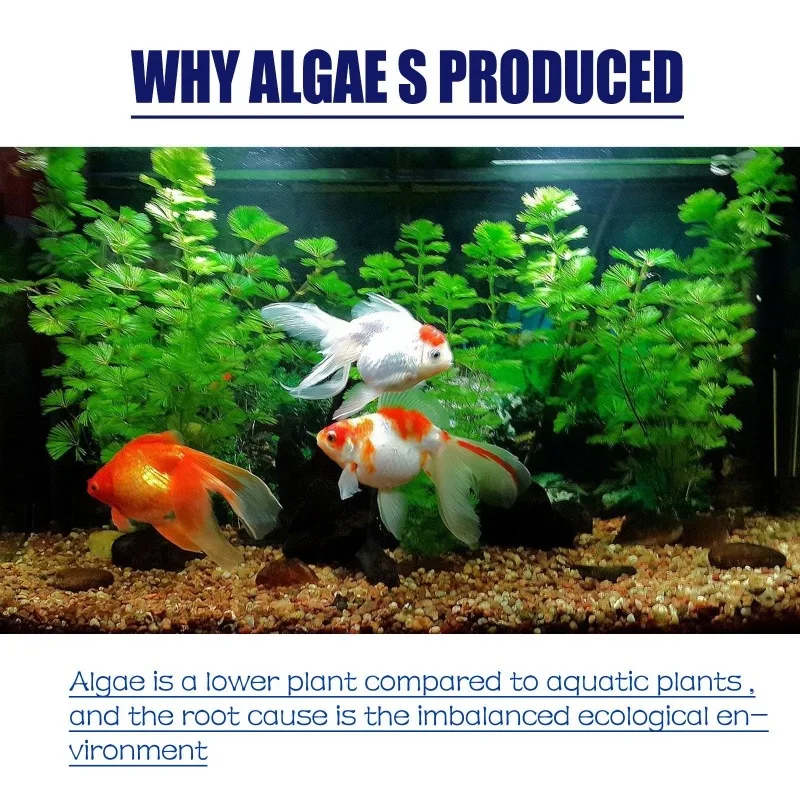 50g High Efficiency Algaecide  - Planted Aquarium Moss avis et prix