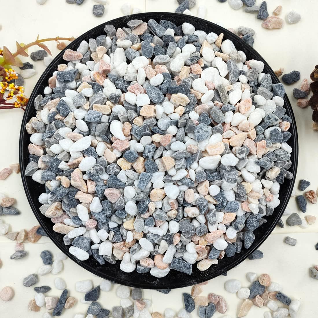 2LB Succulent Gravel Pebbles,  - Aquarium Plants avis et prix