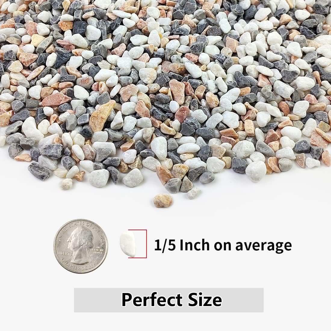 2LB Succulent Gravel Pebbles,  - Aquarium Plants avis et prix