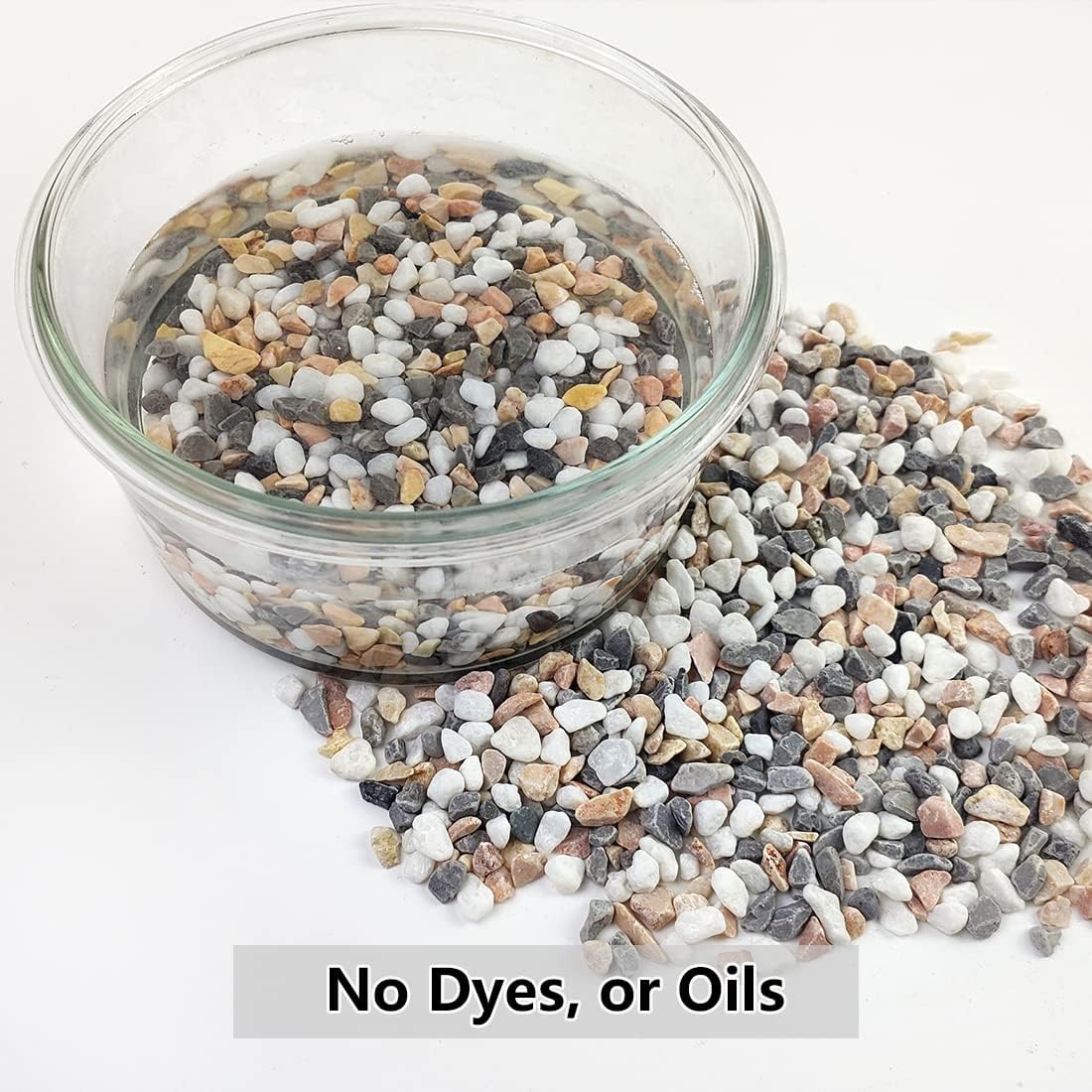 2LB Succulent Gravel Pebbles,  - Aquarium Plants avis et prix