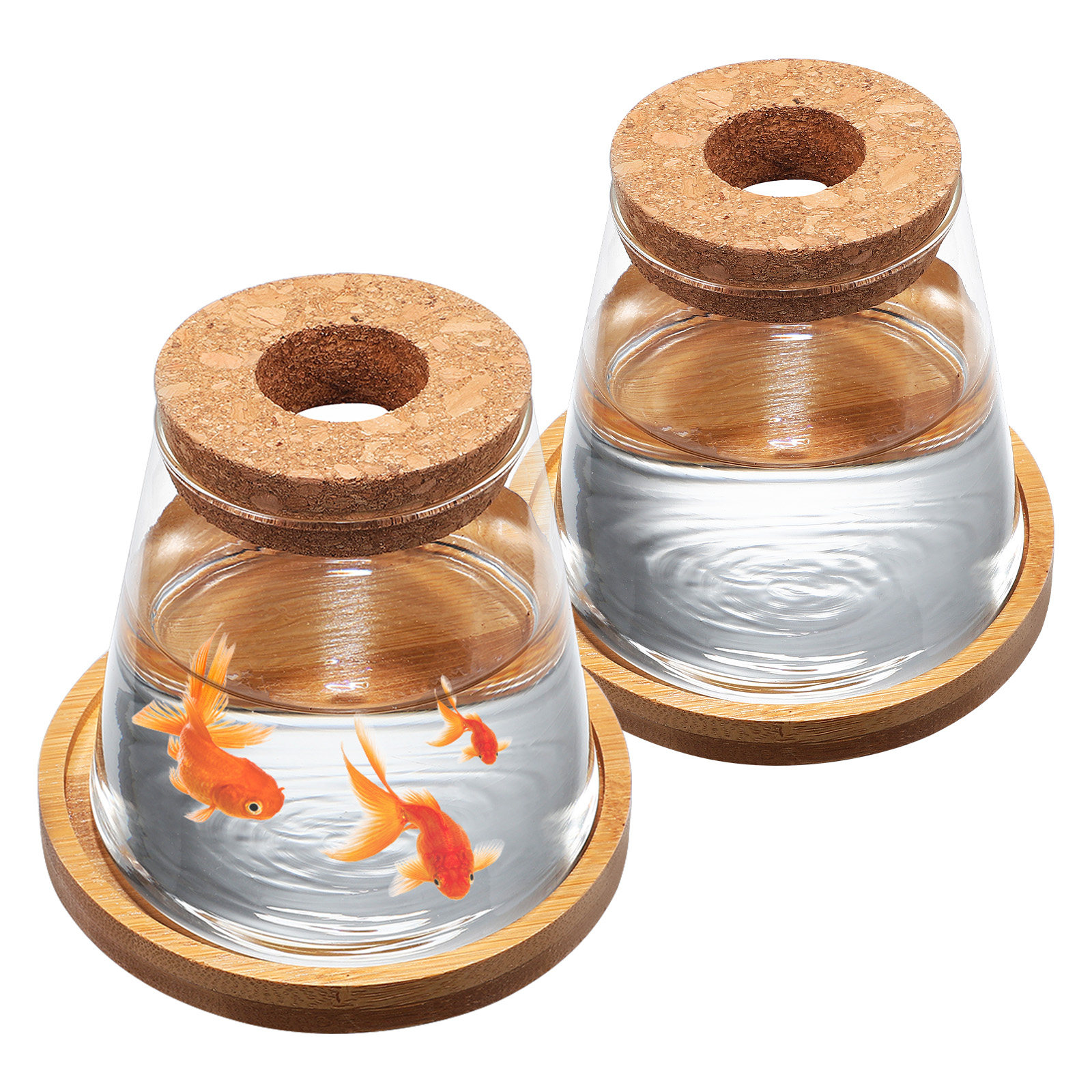 2Pcs Water Planters Glass Prop - Aquarium Plants avis et prix