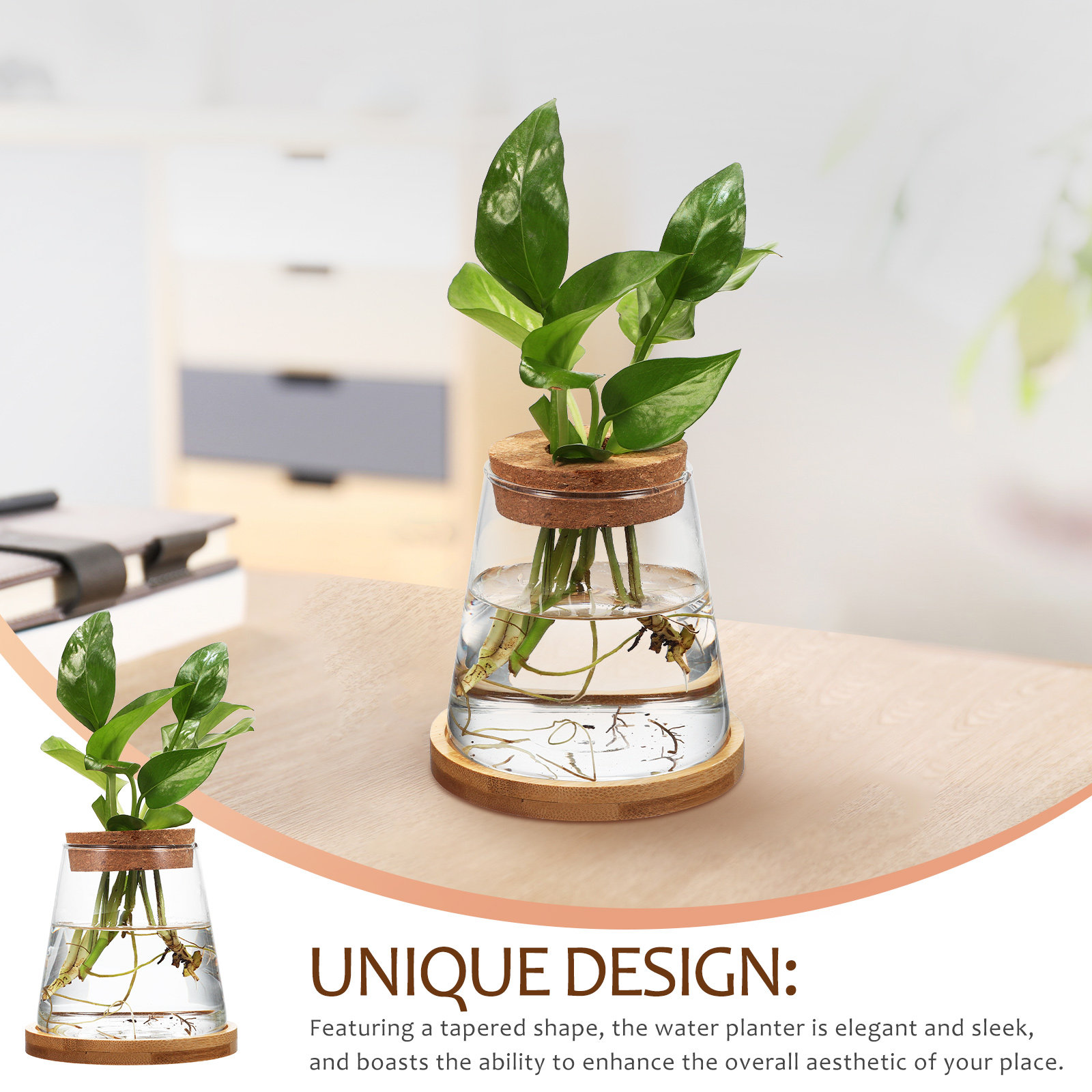 2Pcs Water Planters Glass Prop - Aquarium Plants avis et prix