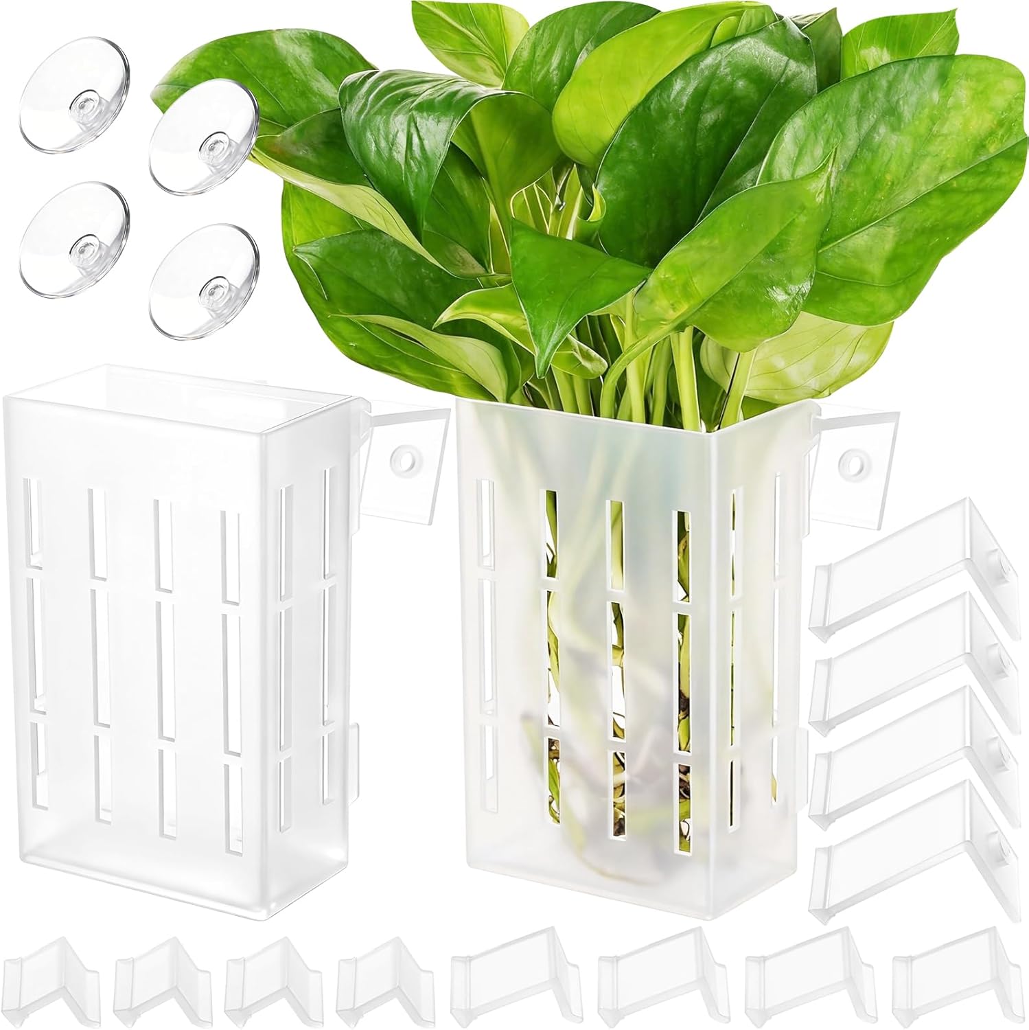 Large Aquarium Plant Holder wi - Aquarium Plants avis et prix