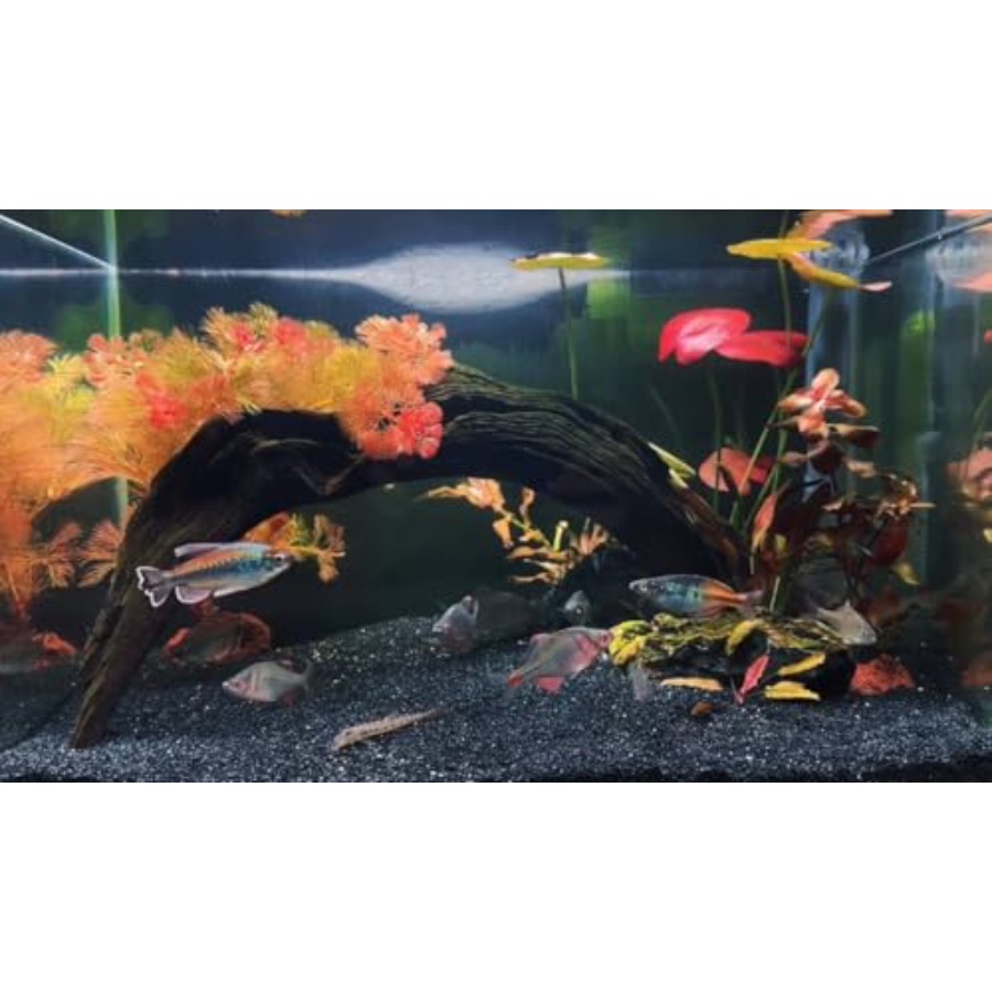 Aquarium Sand, 0 Fish Tank San - Aquarium Planted Sand avis et prix