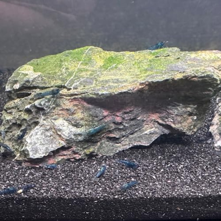 Aquarium Sand, 0 Fish Tank San - Aquarium Planted Sand avis et prix