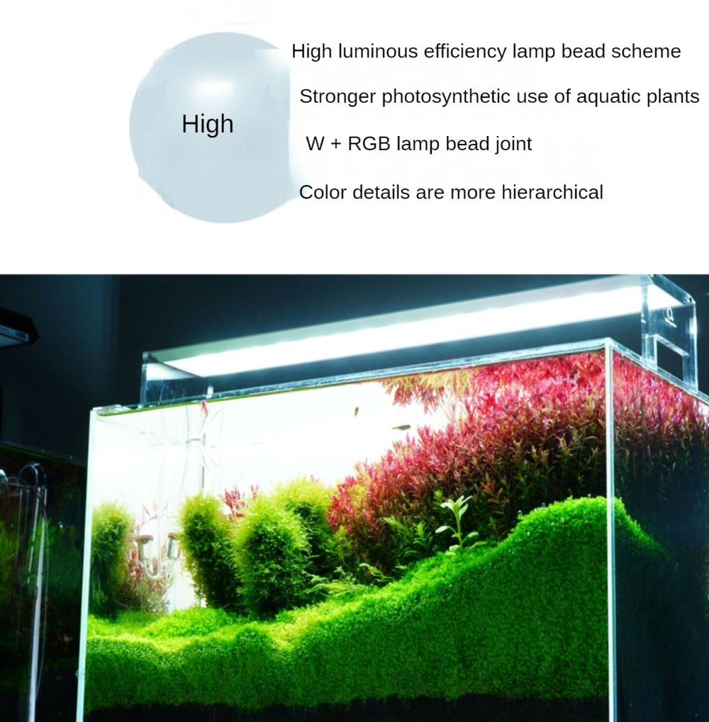 LED Light Aquarium Lighting Aq - Planted Aquarium Freshwater avis et prix