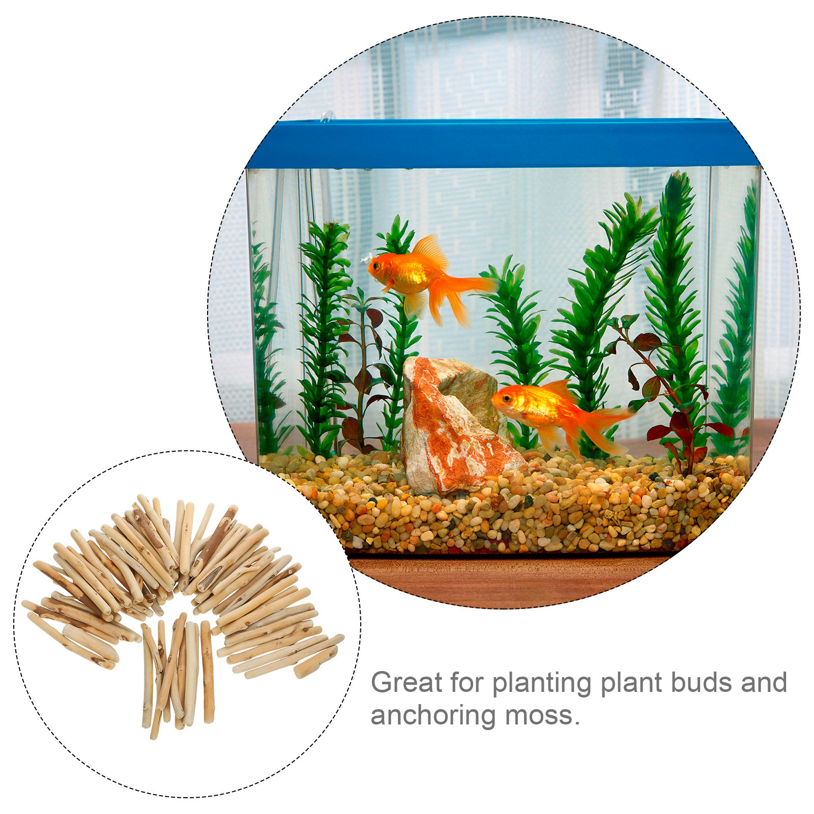 1Set Natural Driftwood Decorat - Planted Aquarium Ph avis et prix