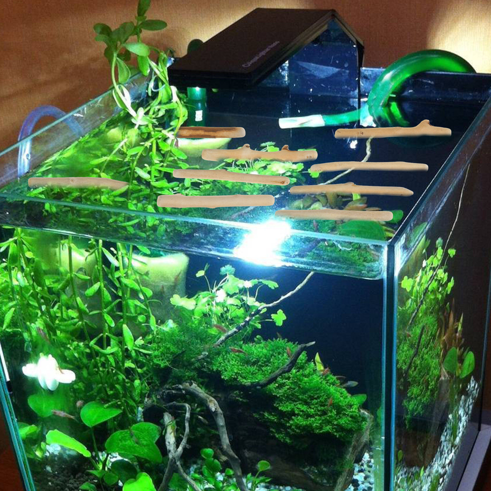 1Set Natural Driftwood Decorat - Planted Aquarium Ph avis et prix