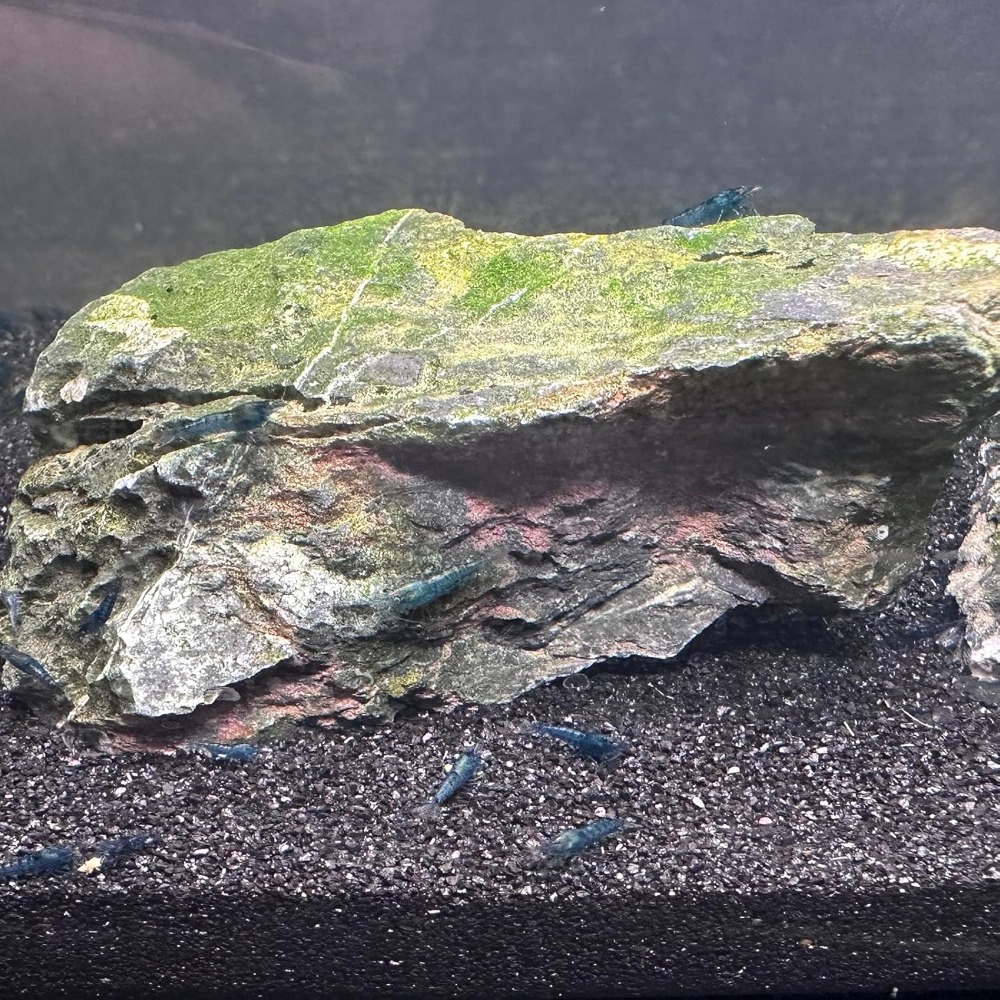 Black Aquarium Sand 2lbs, Fine - Aquarium Planted Sand avis et prix