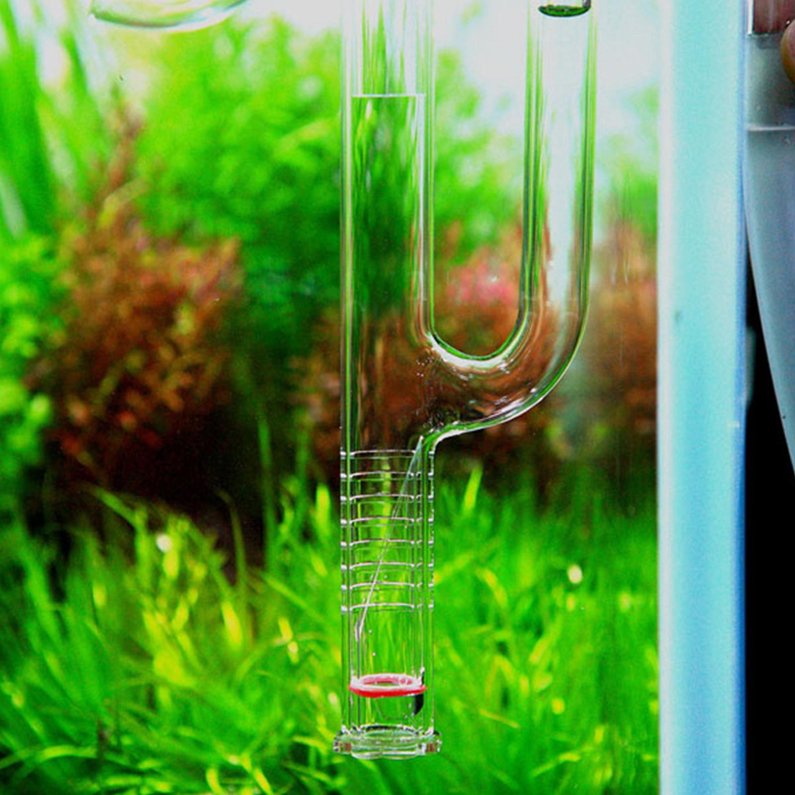 Aquatic Plant Glass Lily Tube  - Planted Aquarium Youtube avis et prix