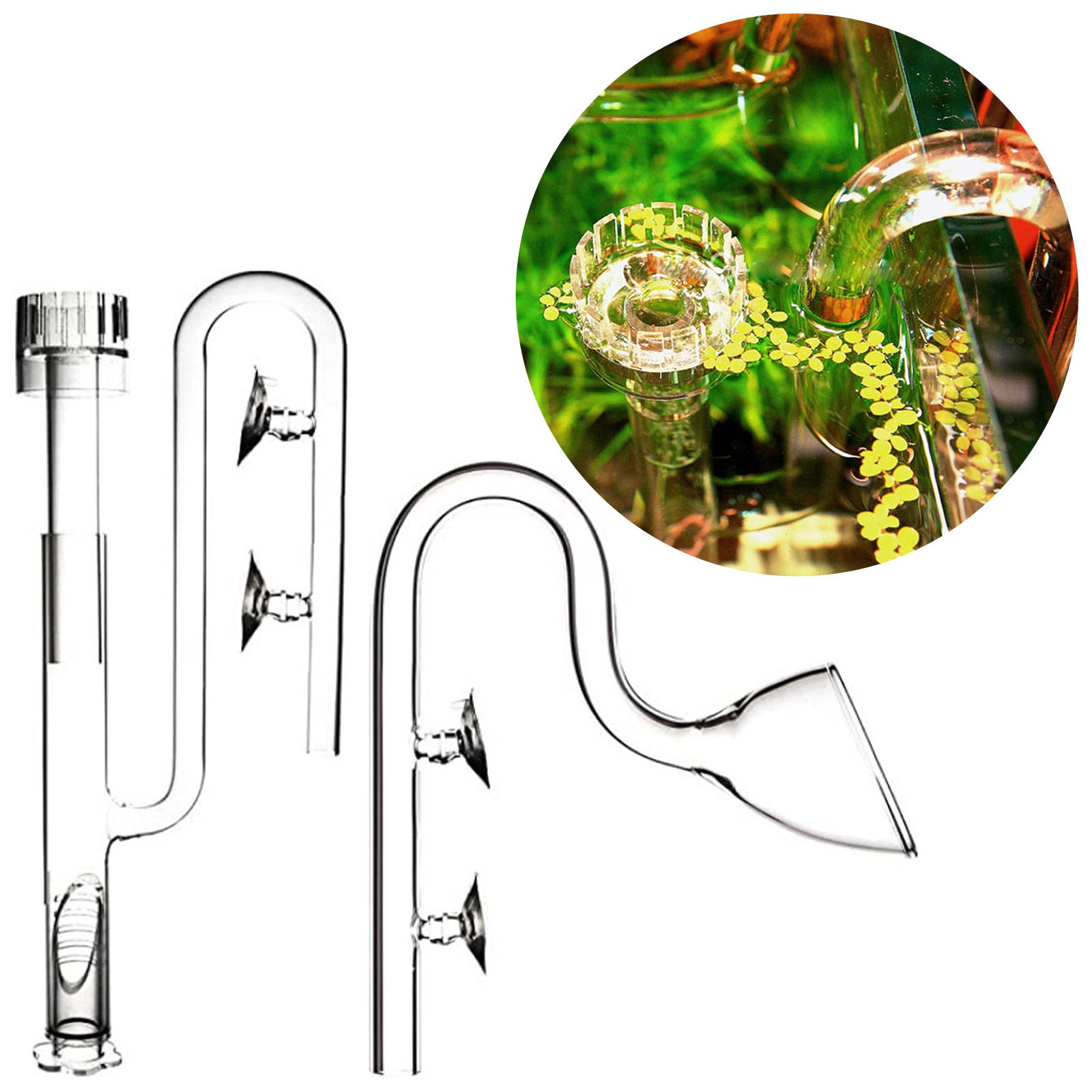 Aquatic Plant Glass Lily Tube  - Planted Aquarium Youtube avis et prix