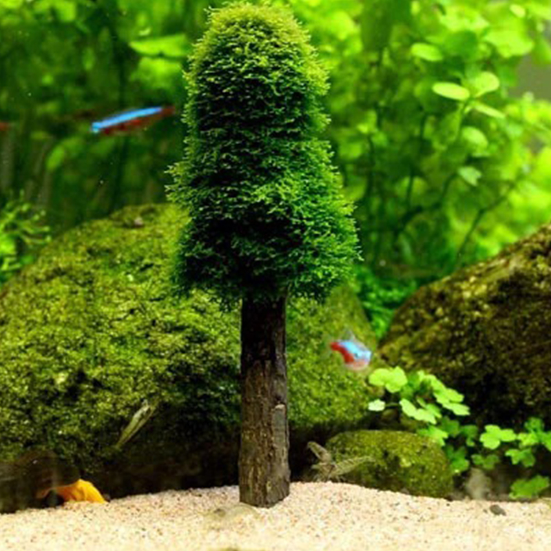 Aquarium Decoration Simulation - Planted Aquarium Moss avis et prix
