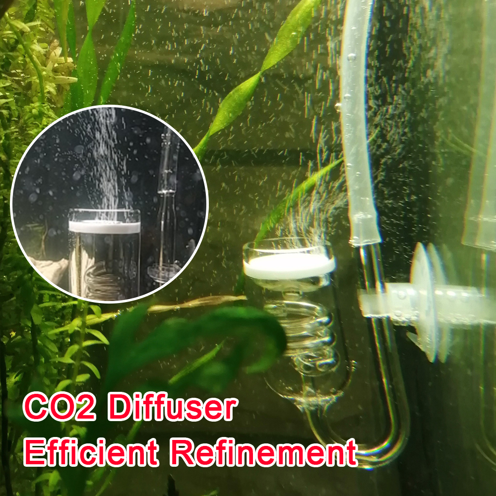 Glass Tank Bubble Reactor Aqua - Planted Aquarium Moss avis et prix