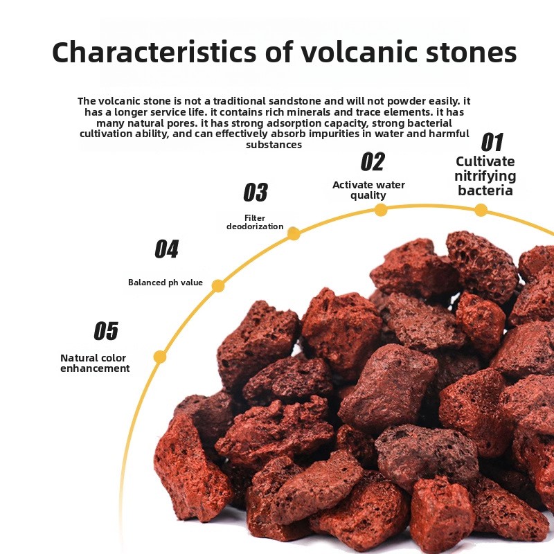 BESSN Volcanic Rock Aquarium S - Aquarium Planted Sand avis et prix