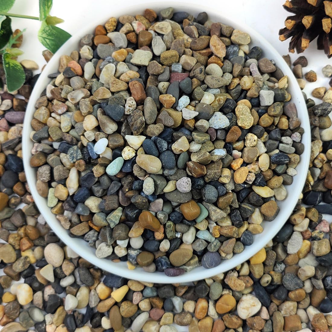 5lbs Natural River Gravel for  - Planted Aquarium With Gravel avis et prix