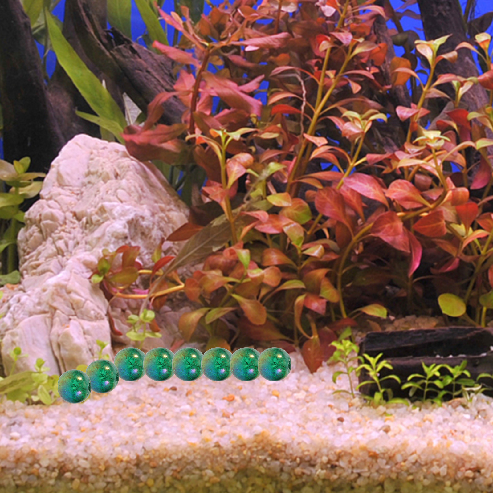 50Pcs Glass Beads Flowerpot Va - Aquarium Plants avis et prix