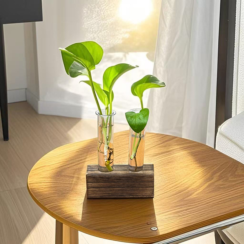 Exquisite Hydroponic Flower Va - Planted Aquarium Youtube avis et prix
