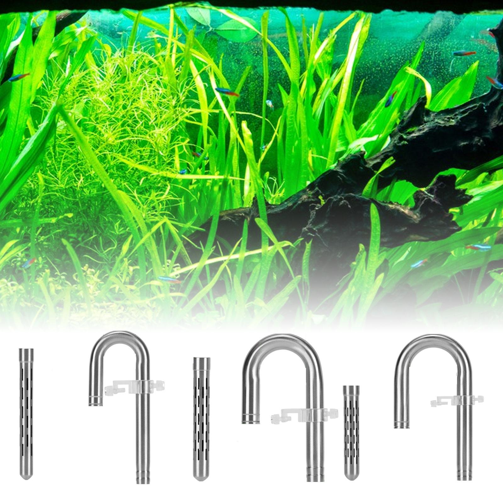 Leakproof Stainless Steel Lily - Planted Aquarium Youtube avis et prix