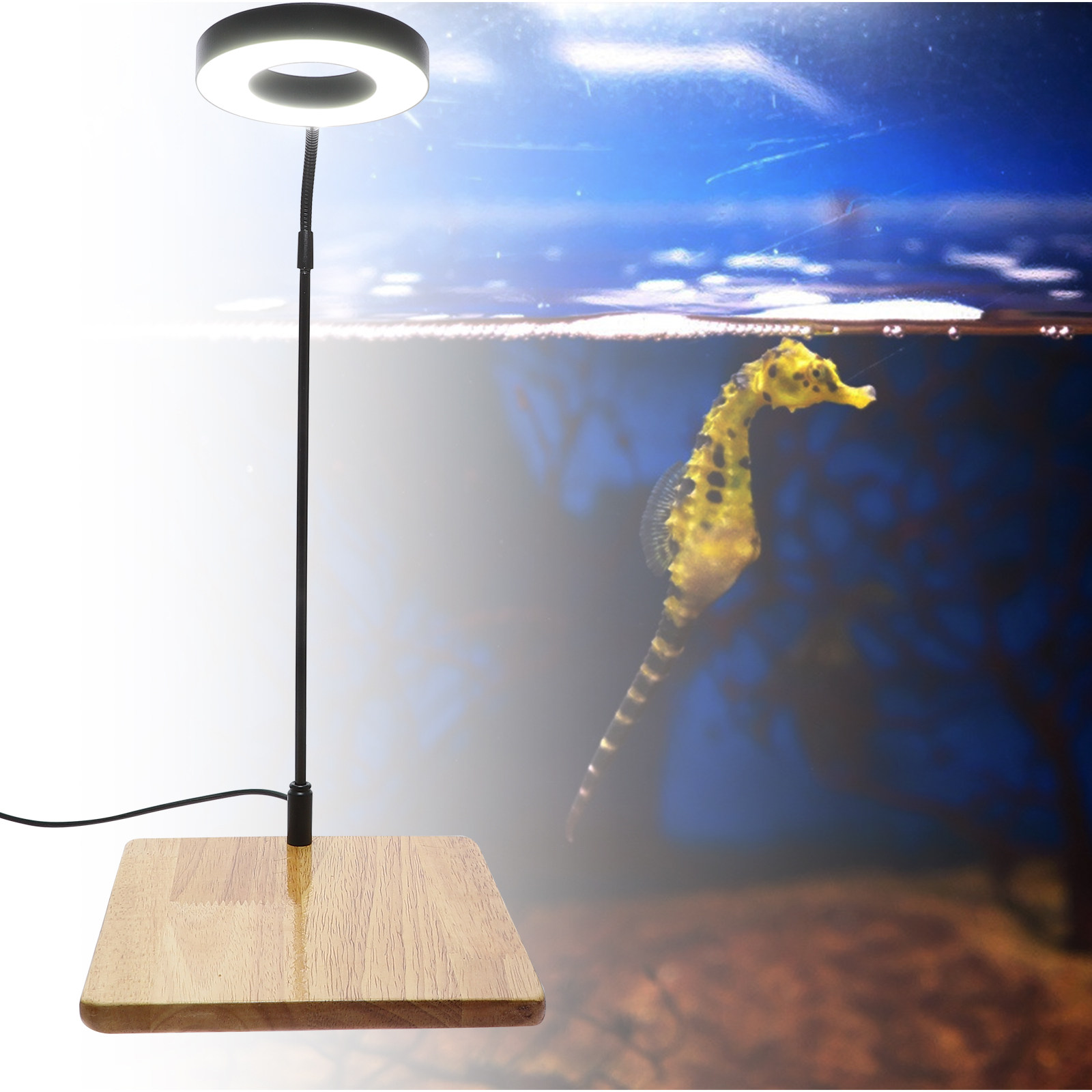 1Pcs Aquarium Fill Light High  - Aquarium Plants avis et prix