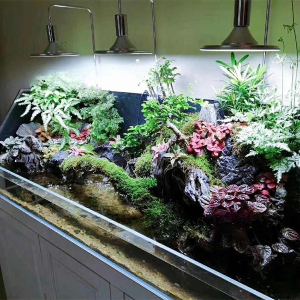 LED Fish Tank Light with Adjus - Planted Aquarium Freshwater avis et prix