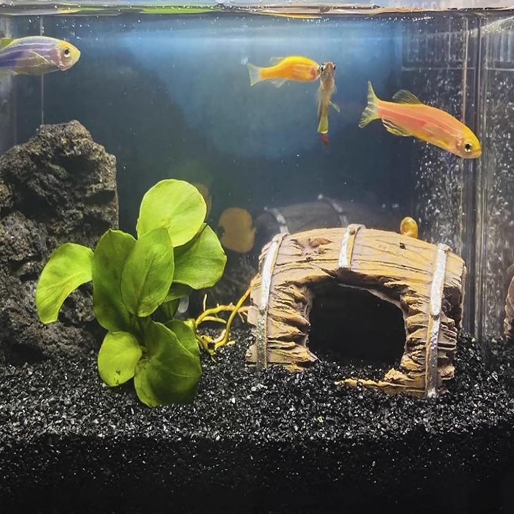 ANTIAN 20 lbs Black Silica San - Aquarium Planted Sand avis et prix