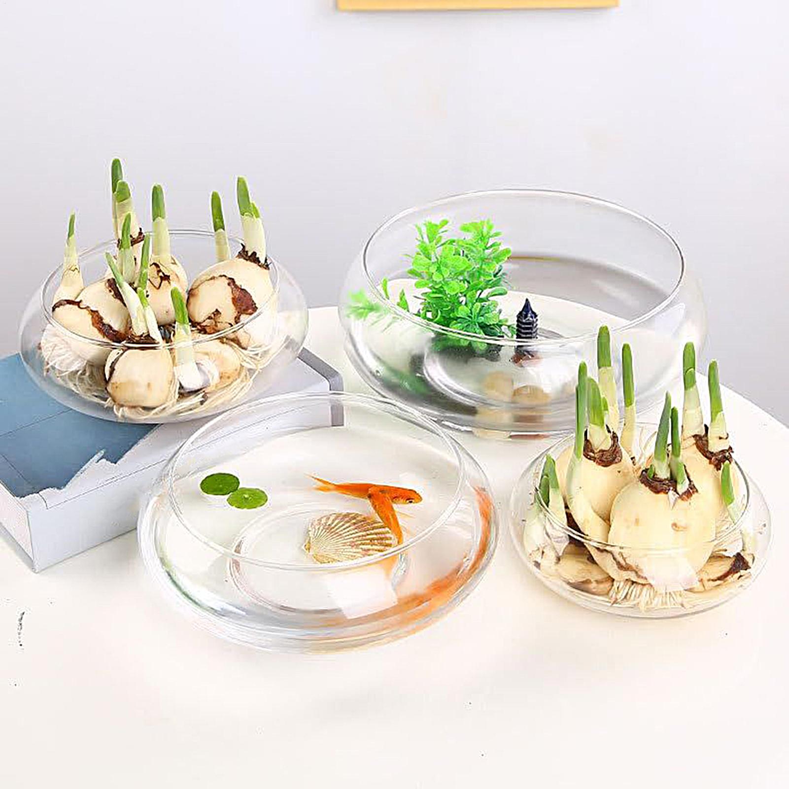 Fish Glass Bowl Glass Large Hy - Aquarium Plants avis et prix