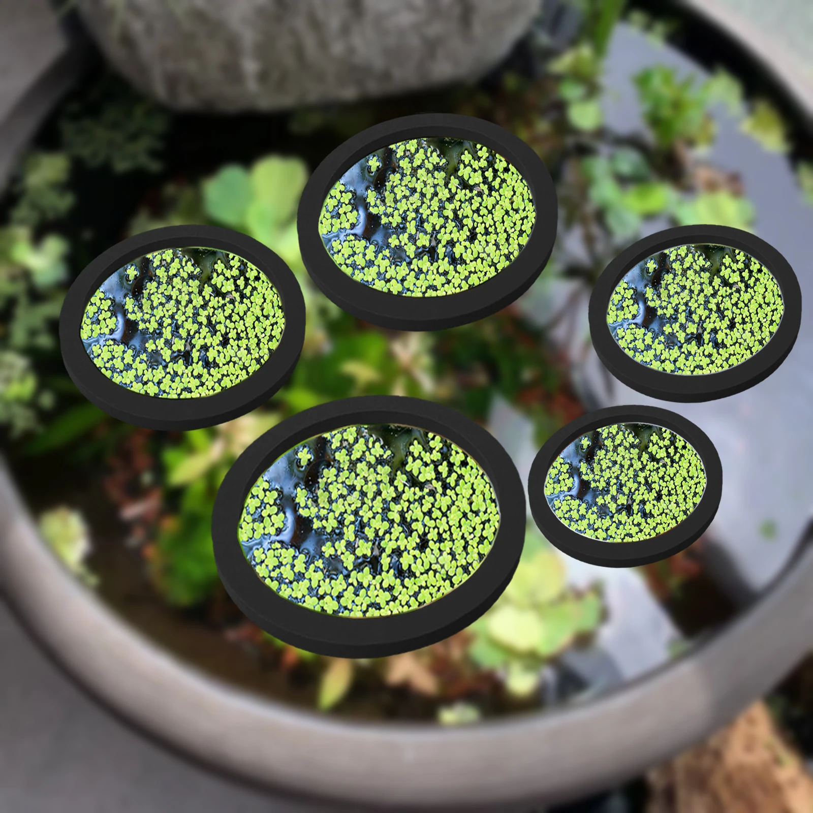 5Pcs EVA Fish Feeding Ring Aqu - Aquarium Plants avis et prix