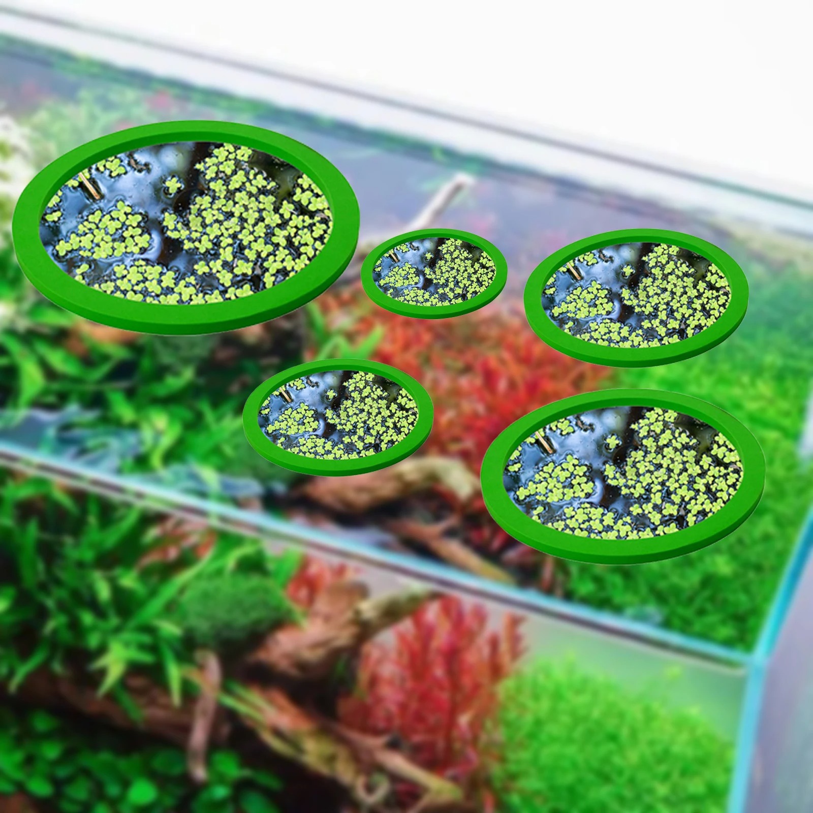 5Pcs EVA Fish Feeding Ring Aqu - Aquarium Plants avis et prix