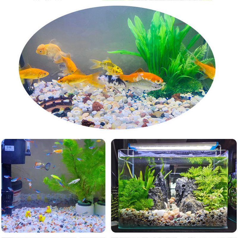 Natural Gravel Stone 200~1000g - Aquarium Planted Sand avis et prix