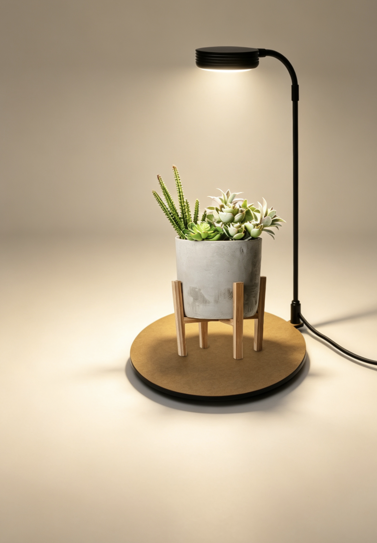 Micro Landscape Plant Lamp LED - Planted Aquarium Moss avis et prix