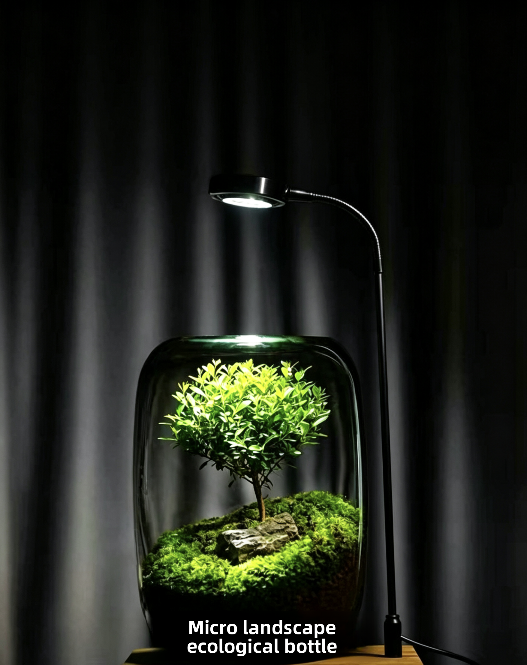 Micro Landscape Plant Lamp LED - Planted Aquarium Moss avis et prix