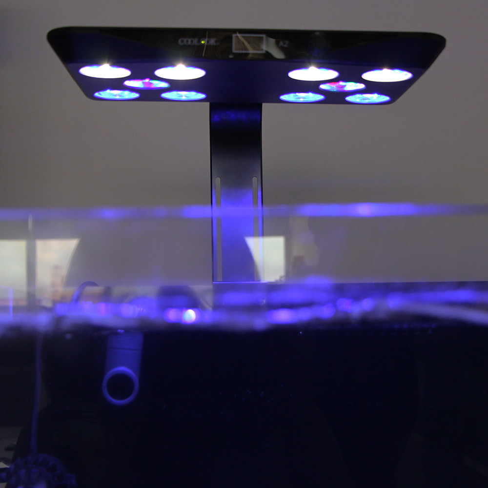 Aquariums Lights Full Spectrum - Planted Aquarium Freshwater avis et prix