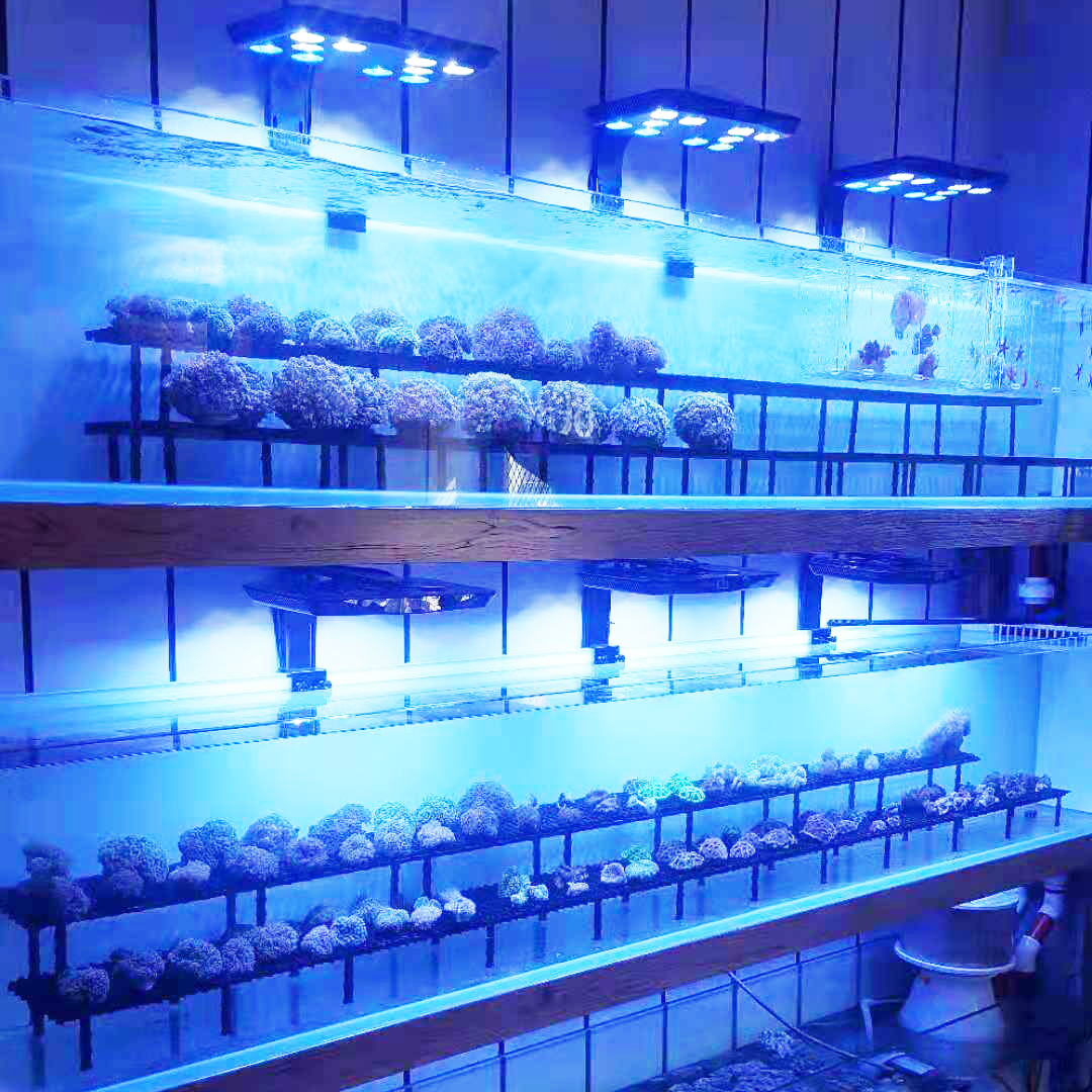 Aquariums Lights Full Spectrum - Planted Aquarium Freshwater avis et prix