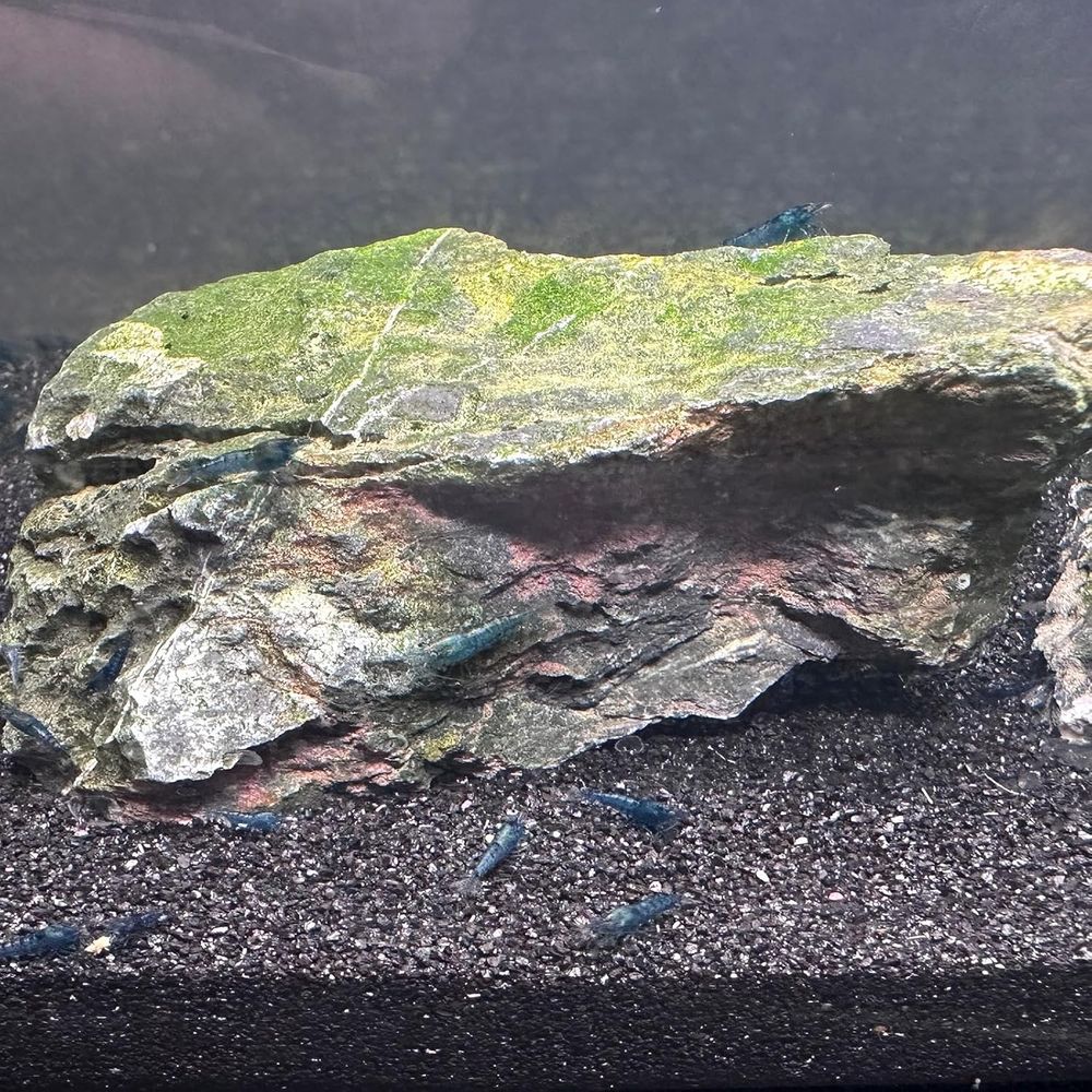 YISZM Aquarium Sand, 20lbs Bla - Aquarium Planted Sand avis et prix