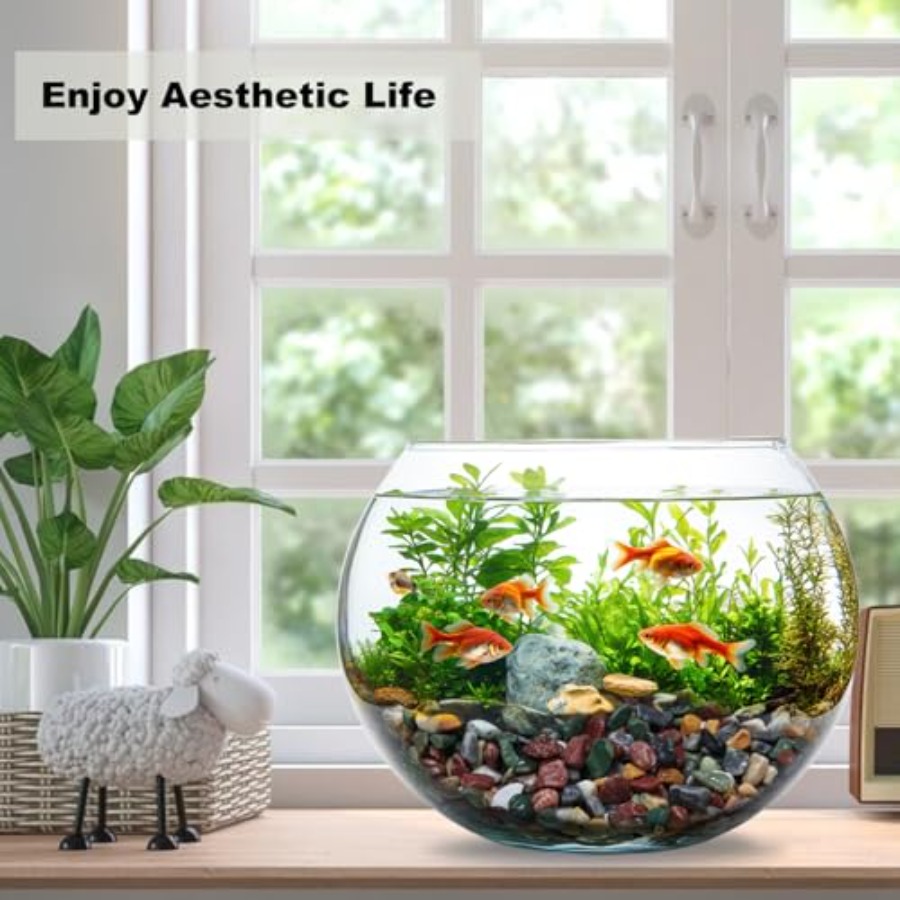 45LB Succulents Rocks for Plan - Planted Aquarium With Gravel avis et prix