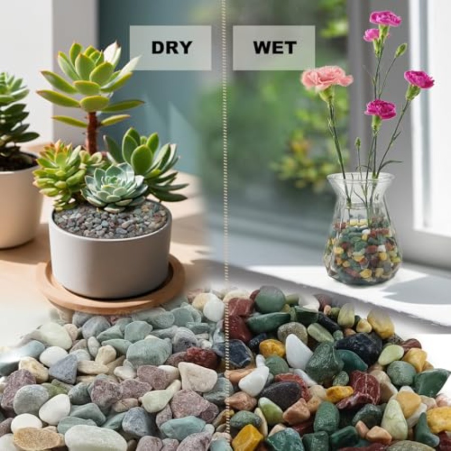 45LB Succulents Rocks for Plan - Planted Aquarium With Gravel avis et prix