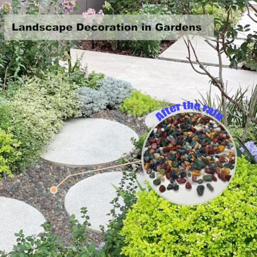 45LB Succulents Rocks for Plan - Planted Aquarium With Gravel avis et prix