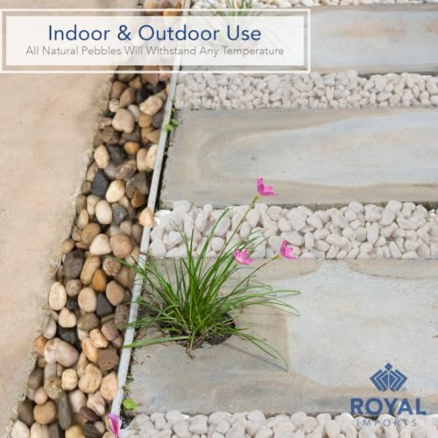 River Rocks Decorative Ornamen - Planted Aquarium With Gravel avis et prix
